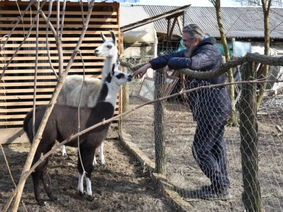 OPG Čudesna šuma