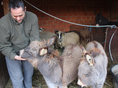 OPG Cvjetković OPG Cvjetković