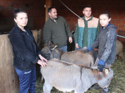 OPG Cvjetković OPG Cvjetković