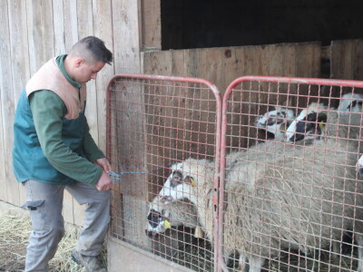 OPG Cvjetković OPG Cvjetković