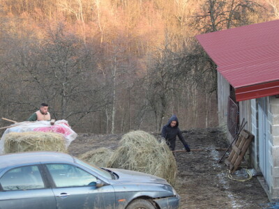 OPG Cvjetković OPG Cvjetković