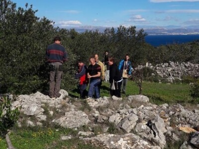 OPG Dafne i Mario Ružić: Za ulje iz pradjedovog maslinika na Šolti nagrađeni zlatom u New Yorkuom OPG Dafne i Mario Ružić: Za ulje iz pradjedovog maslinika na Šolti nagrađeni zlatom u New Yorkuom