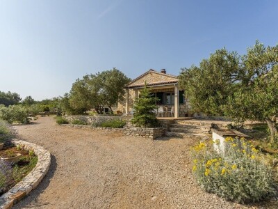 OPG Dafne i Mario Ružić: Za ulje iz pradjedovog maslinika na Šolti nagrađeni zlatom u New Yorkuom OPG Dafne i Mario Ružić: Za ulje iz pradjedovog maslinika na Šolti nagrađeni zlatom u New Yorkuom