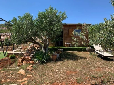 OPG Dafne i Mario Ružić: Za ulje iz pradjedovog maslinika na Šolti nagrađeni zlatom u New Yorkuom