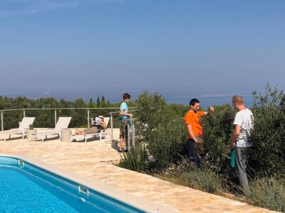 OPG Dafne i Mario Ružić: Za ulje iz pradjedovog maslinika na Šolti nagrađeni zlatom u New Yorkuom OPG Dafne i Mario Ružić: Za ulje iz pradjedovog maslinika na Šolti nagrađeni zlatom u New Yorkuom