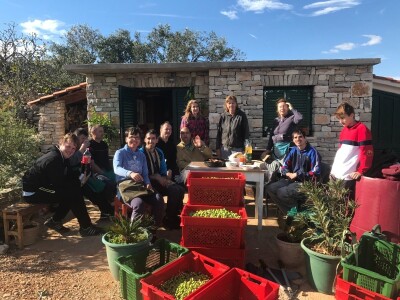 OPG Dafne i Mario Ružić: Za ulje iz pradjedovog maslinika na Šolti nagrađeni zlatom u New Yorkuom OPG Dafne i Mario Ružić: Za ulje iz pradjedovog maslinika na Šolti nagrađeni zlatom u New Yorkuom