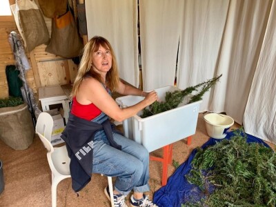 OPG Dafne i Mario Ružić: Za ulje iz pradjedovog maslinika na Šolti nagrađeni zlatom u New Yorkuom OPG Dafne i Mario Ružić: Za ulje iz pradjedovog maslinika na Šolti nagrađeni zlatom u New Yorkuom