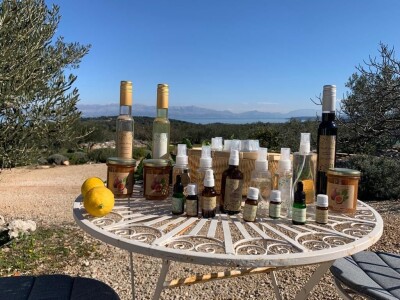 OPG Dafne i Mario Ružić: Za ulje iz pradjedovog maslinika na Šolti nagrađeni zlatom u New Yorkuom OPG Dafne i Mario Ružić: Za ulje iz pradjedovog maslinika na Šolti nagrađeni zlatom u New Yorkuom