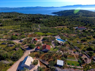 OPG Dafne i Mario Ružić: Za ulje iz pradjedovog maslinika na Šolti nagrađeni zlatom u New Yorkuom OPG Dafne i Mario Ružić: Za ulje iz pradjedovog maslinika na Šolti nagrađeni zlatom u New Yorkuom