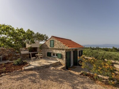 OPG Dafne i Mario Ružić: Za ulje iz pradjedovog maslinika na Šolti nagrađeni zlatom u New Yorkuom OPG Dafne i Mario Ružić: Za ulje iz pradjedovog maslinika na Šolti nagrađeni zlatom u New Yorkuom