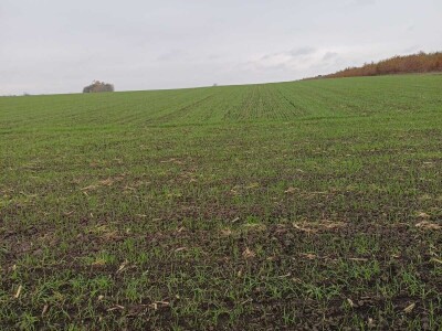 OPG Damir Marošević ProSeed