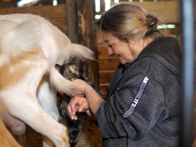 OPG Dario Geto OPG Dario Geto