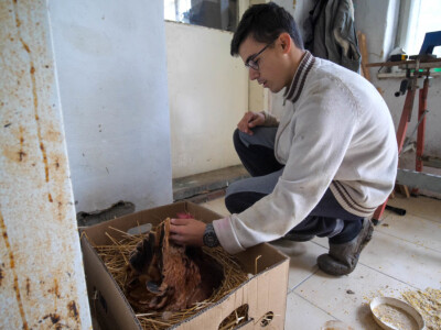 OPG Dario Geto OPG Dario Geto