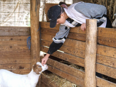 OPG Dario Geto OPG Dario Geto