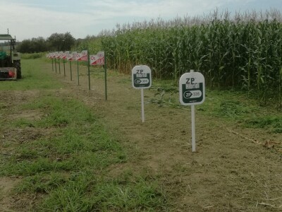 OPG Dasović Malo Vukovje