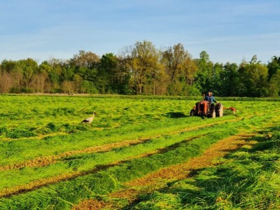 OPG Davor Balug Donji Kraljevec