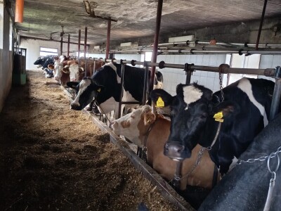 OPG Davor Balug Donji Kraljevec