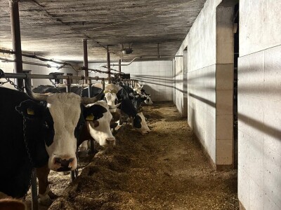 OPG Davor Balug Donji Kraljevec