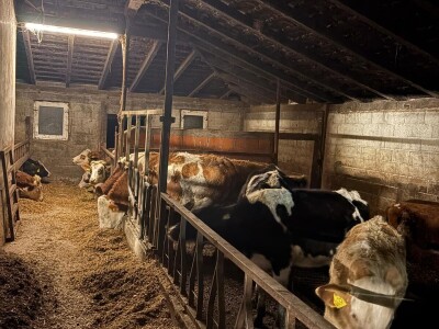 OPG Davor Balug Donji Kraljevec