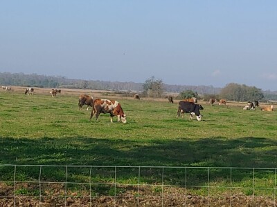 OPG Davor Balug Donji Kraljevec
