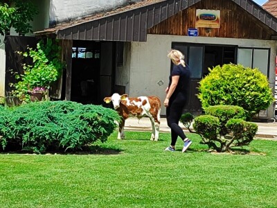 OPG Davor Balug Donji Kraljevec