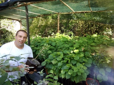 OPG Davor Gašpar