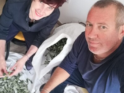 OPG DENIS BARIĆ - Poker odličja iz stoljetnog maslinika vridnog otočnog predsjednika