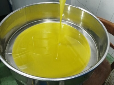 OPG DENIS BARIĆ - Poker odličja iz stoljetnog maslinika vridnog otočnog predsjednika