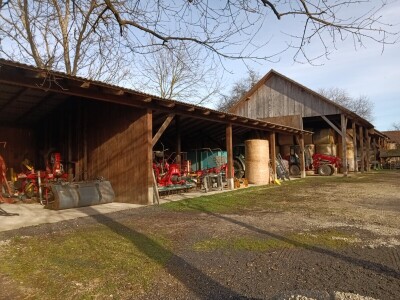 OPG Domagoja Zlatara u Goli