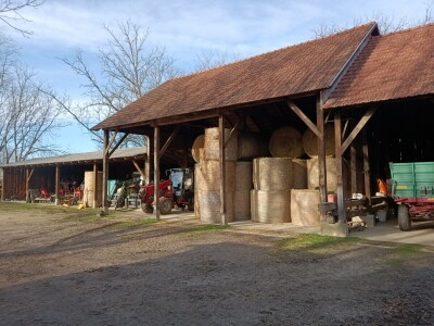 OPG Domagoja Zlatara u Goli