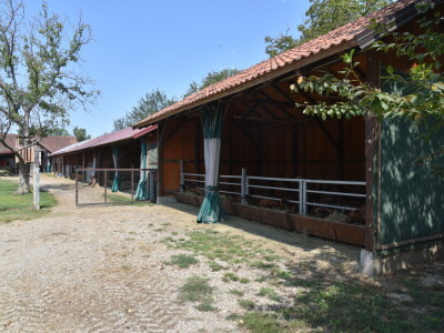 OPG Domagoja Zlatara u Goli