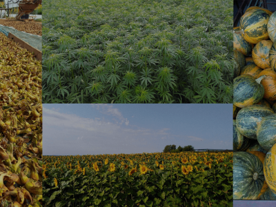 OPG Domjanić OPG Domjanić