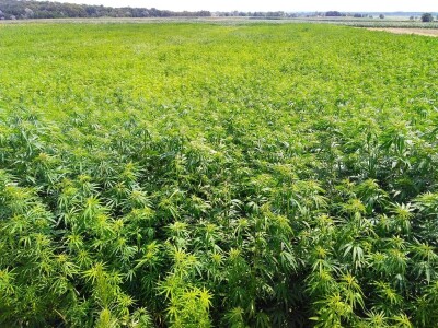 OPG Domjanić OPG Domjanić