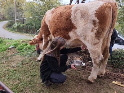 OPG Dorat iz Kladnjica