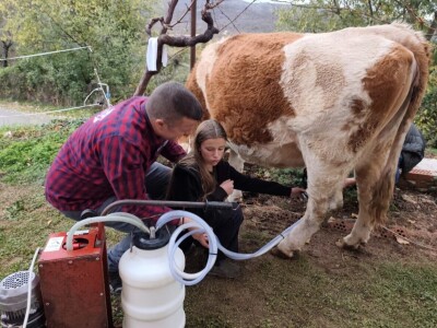 OPG Dorat iz Kladnjica