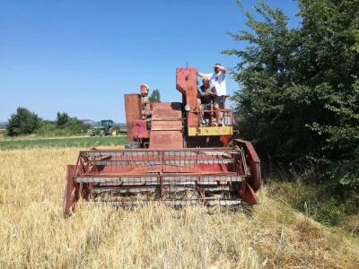 OPG Drača