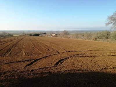 OPG Drača