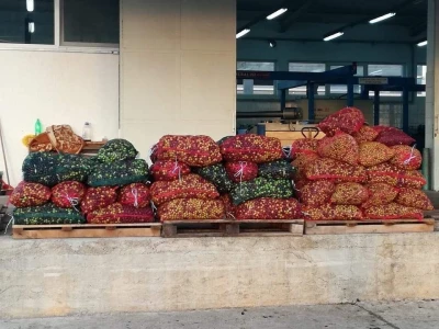 OPG Drača