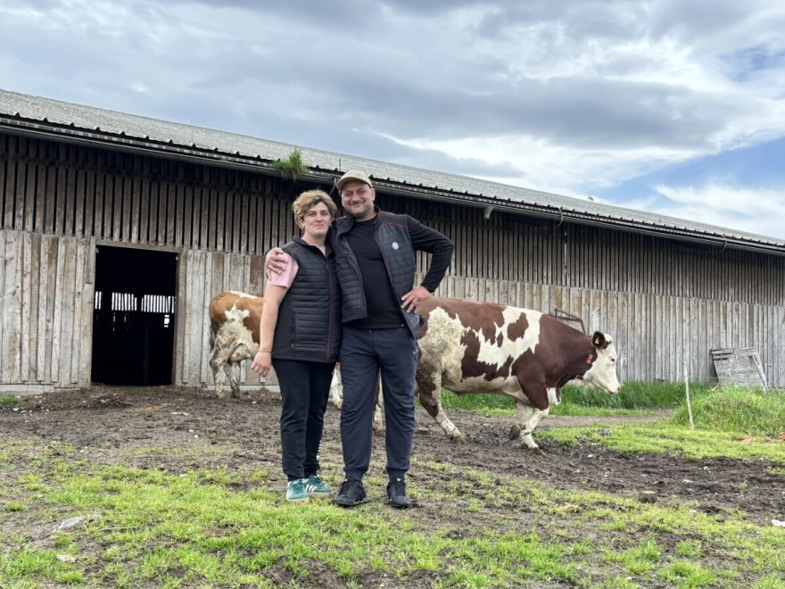 farma krave Poljinos