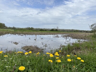 OPG Dražena Klarića, Poljinos
