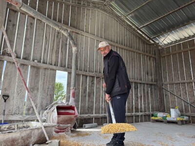 OPG Dražena Klarića, Poljinos