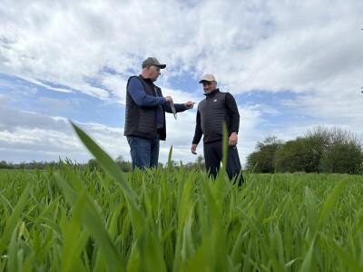 OPG Dražena Klarića, Poljinos
