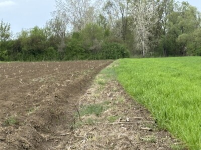 OPG Dražena Klarića, Poljinos