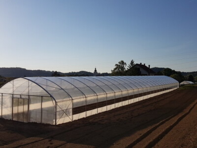 OPG Drempetić OPG Drempetić