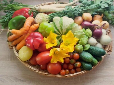 OPG Drempetić OPG Drempetić