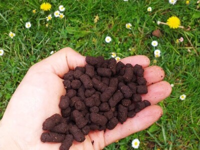 OPG Drozdek OPG Drozdek