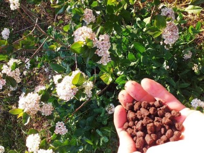 OPG Drozdek OPG Drozdek