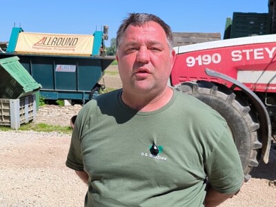 OPG Drožđek širi proizvodnju industrijske rajčice