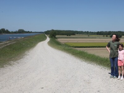 OPG Drožđek širi proizvodnju industrijske rajčice