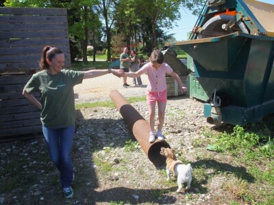 OPG Drožđek širi proizvodnju industrijske rajčice
